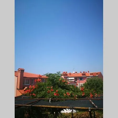 Apartment Casa Di Nonna Pina, Kuca U Blizini Arene Pula